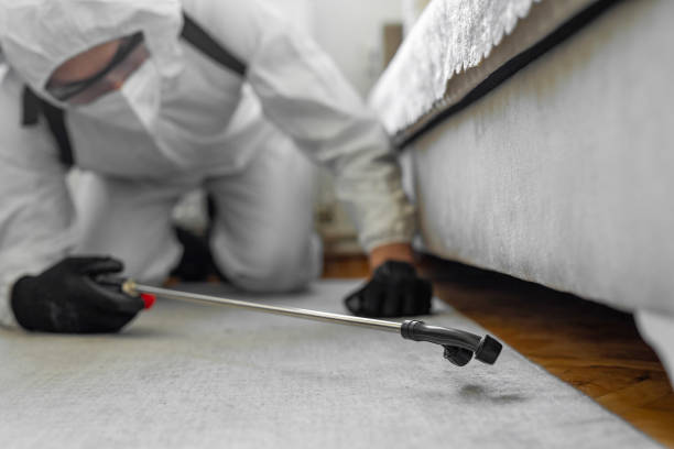 Professional Bed Bug Control technician working in Bay Park, NY